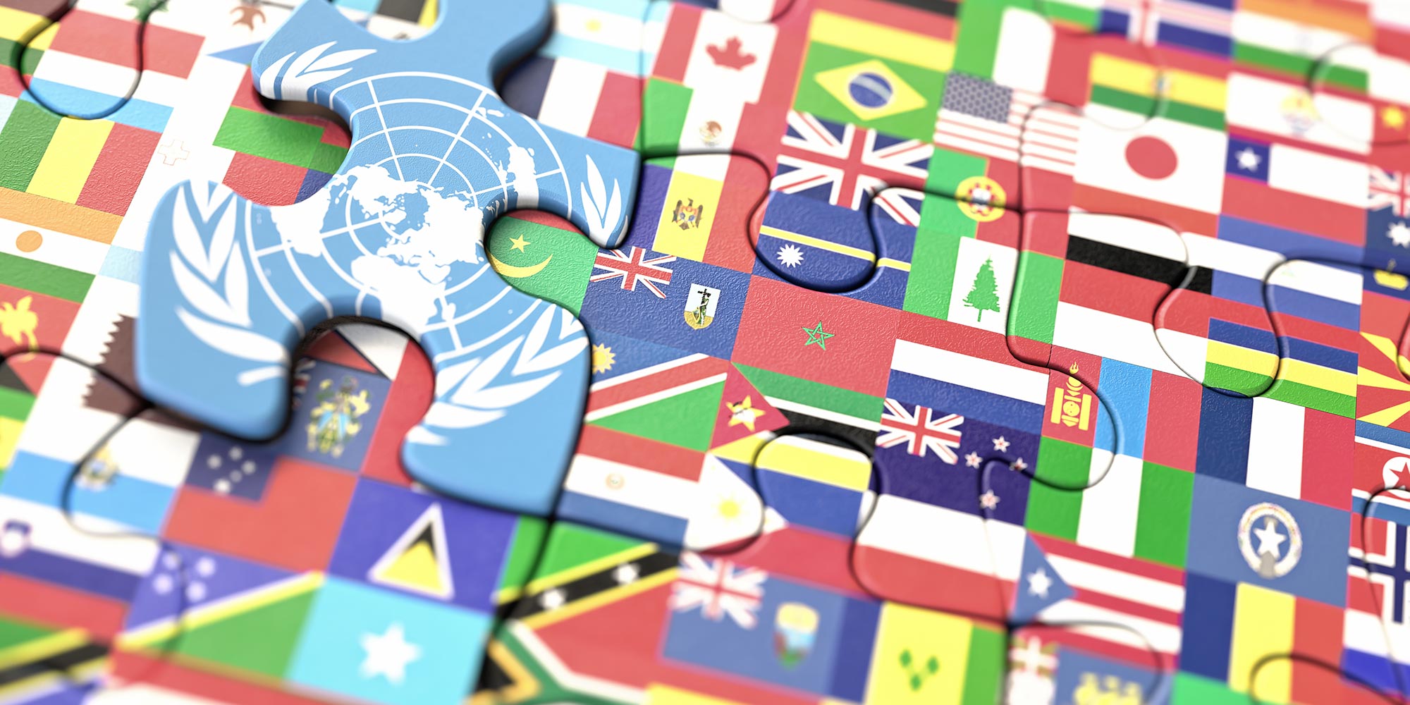 Logos of international NGOs served by Gheras